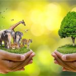 Wildlife conservation projects